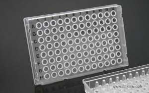 200μL Full-skirt 96 well PCR plate for Biorad